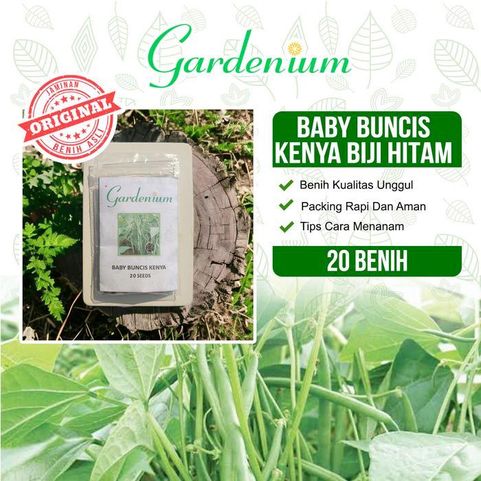 GARDENIUM Benih Baby Buncis Kenya Buncis Biji Hitam Perdu Non Rambat Tanaman Sayur Unggul