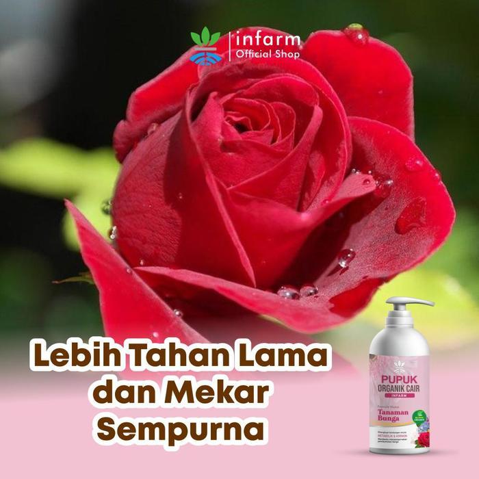 INFARM - Pupuk Infarm Organik Cair Tanaman Bunga 1L POC Bunga Mawar Bunga Anggrek Anti Rontok Pupuk