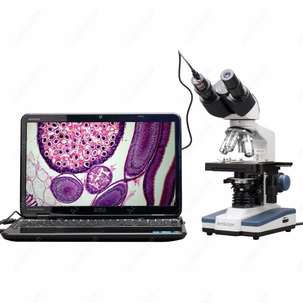 Binocular Compound Microscope--AmScope Supplies 40X-2500X LED Digital Binocular Compound Microscope