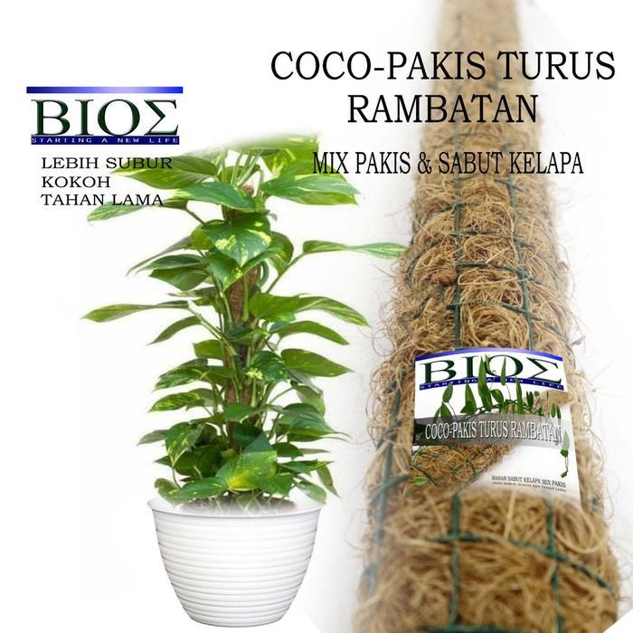 Terbaru Turus Rambatan Coco-Pakis Mix Pakis & Sabut Kelapa Ukuran 45Cm Dan 90Cm Tiang Rambat Tanaman