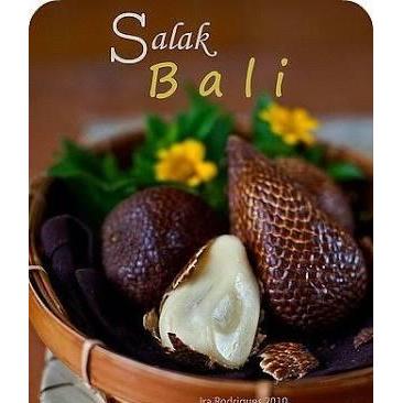 Radiateshop- Salak Gula Pasir Bali