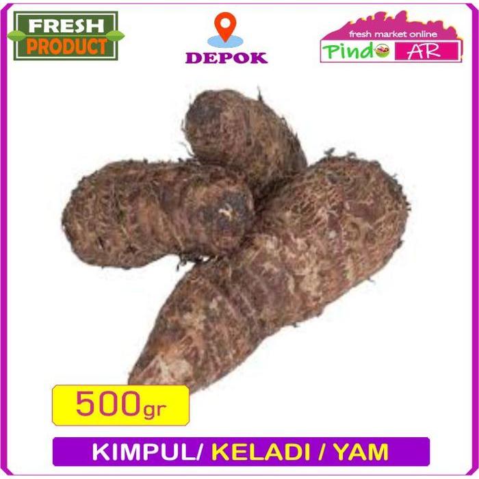TERLARIS KIMPUL KELADI SEGAR / TALAS UBI / TALAS KELADI BERSIH