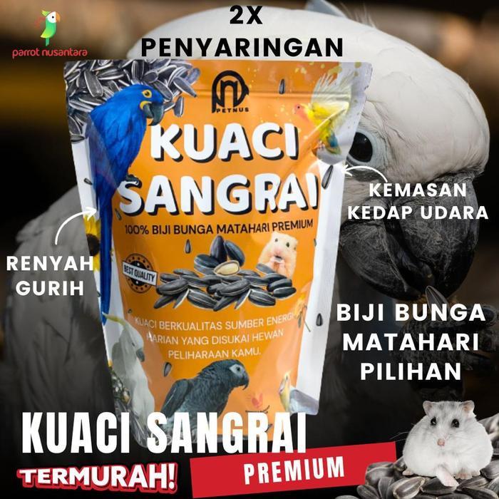 KUACI KWACI SANGRAI BURUNG PARROT MURAH GROSIR