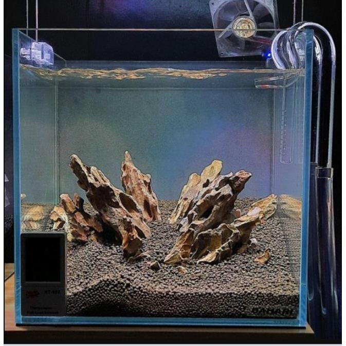 Timeshoop- Mini Glass Lily Pipe Mini Lily Pipe Aquarium Aquascape Bukan Skimmer Stainless