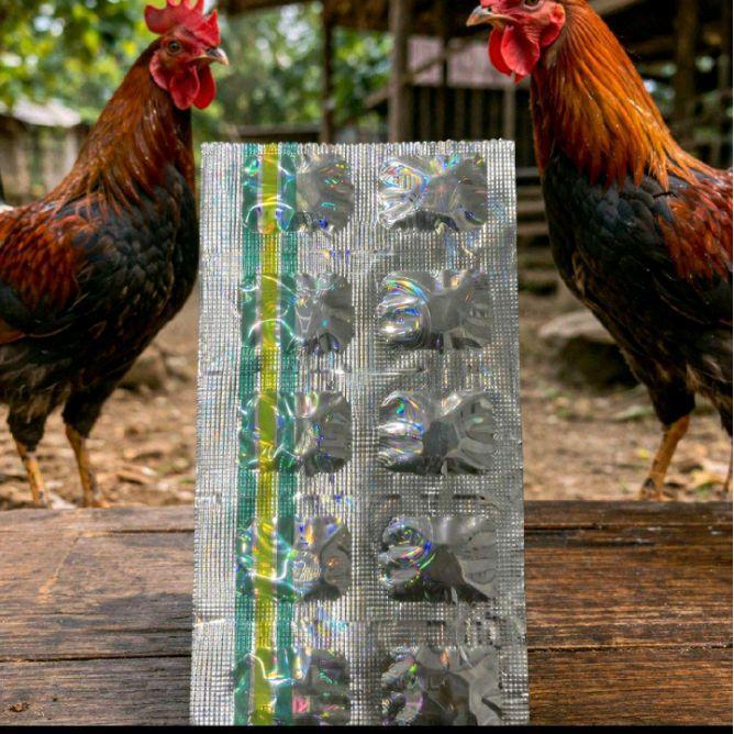 SIAPKIRIM AM/TMD Vitamin ayam jago original 100% READY STOCK