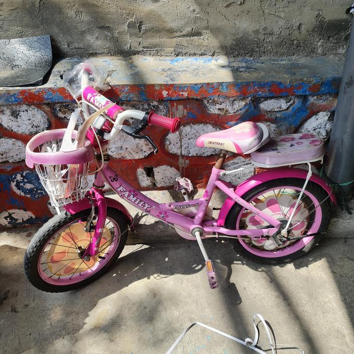 Sepeda Mini 16 Family Keranjang Boncengan Lilies Bunga Bekas Rusak