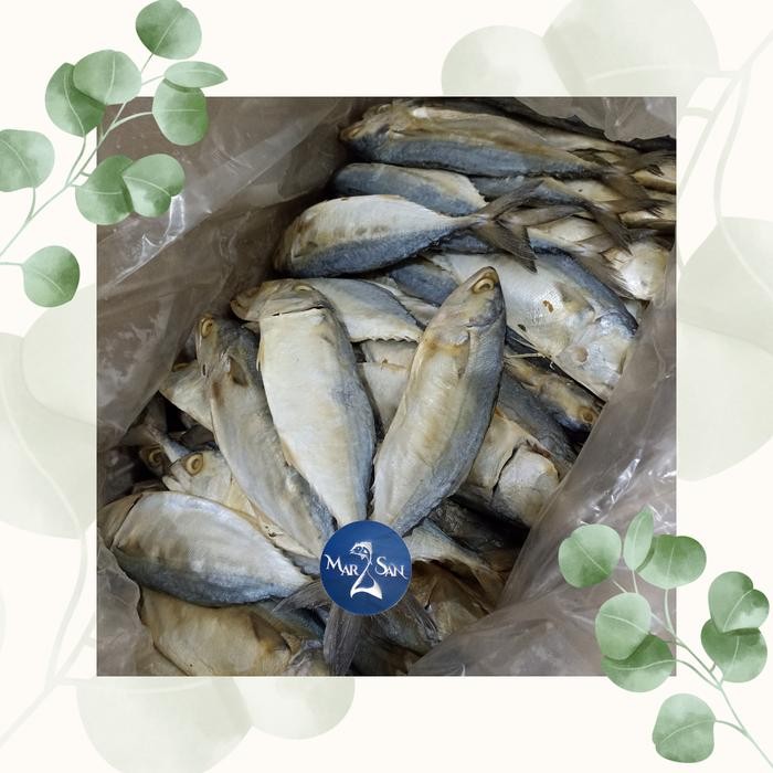 New ikan asin peda putih 500 g / banjar jumbo kualitas premium Food Seafood Frozen Laut Merah Fish