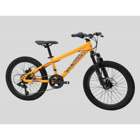 Sepeda MTB 20 inch POLYGON MAZE sepeda anak laki laki