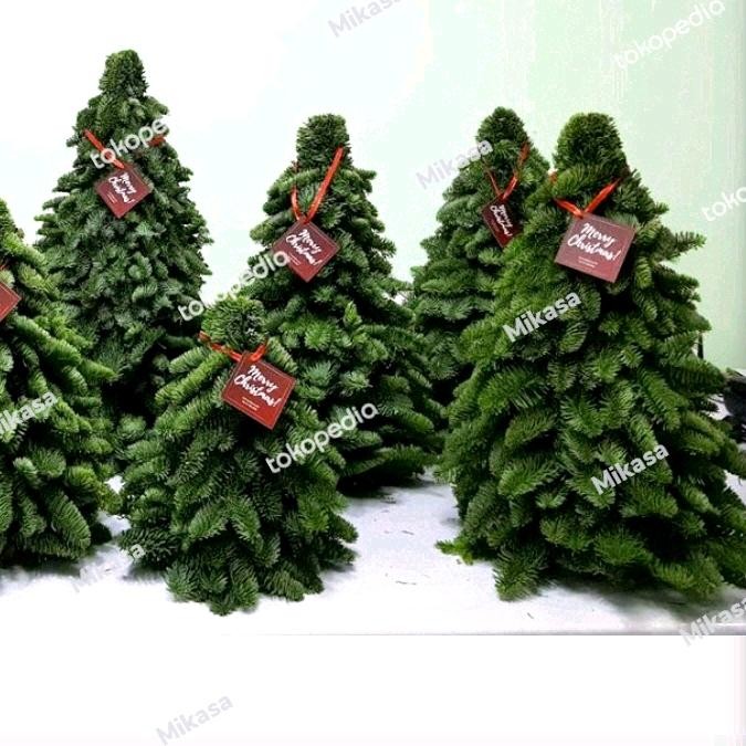 nobilis christmas tree asli import pohon fresh asli