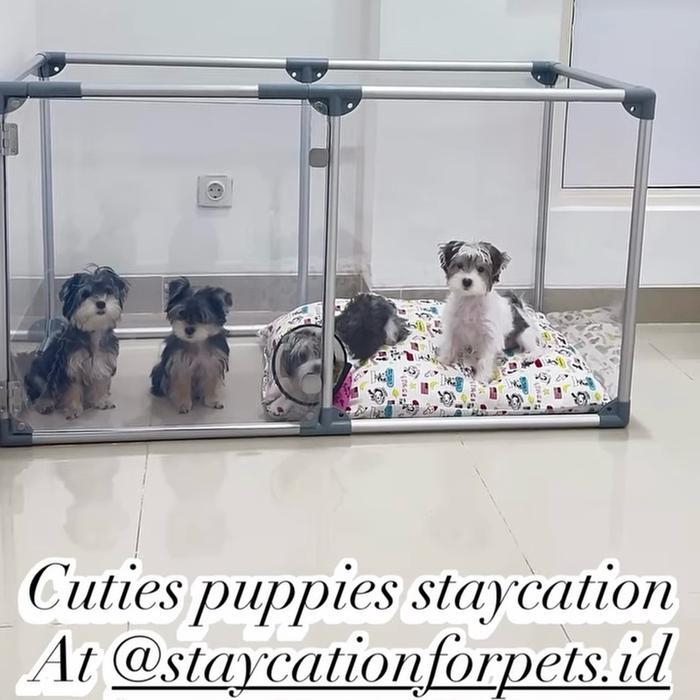 KANDANG ANJING KUCING TRANSPARAN / DOG FENCE / DOG CAGE / PET FENCE MEWAH