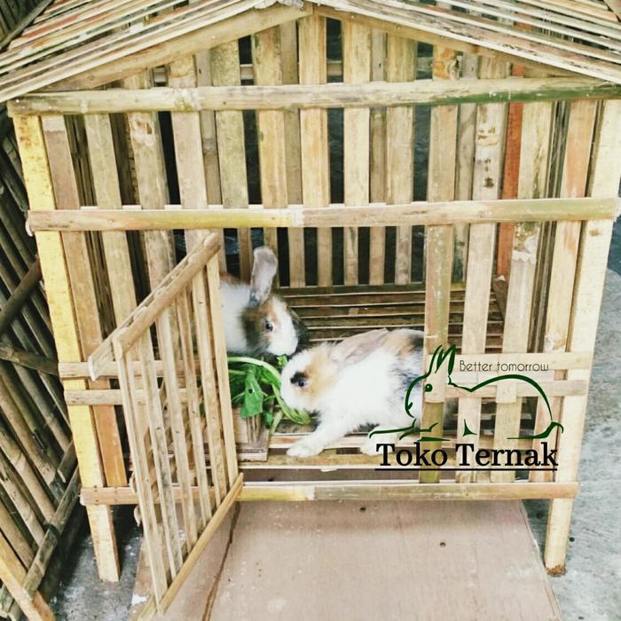 kandang kelinci dari bambu