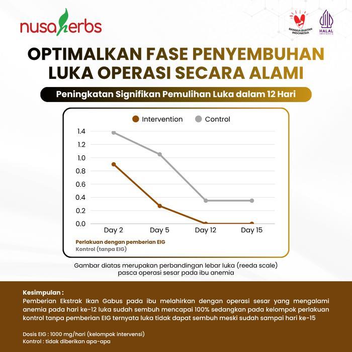 Fitbumin Haruan Kapsul Ekstrak Ikan Gabus Albumin Tinggi Dukung Pemulihan Pasca Operasi