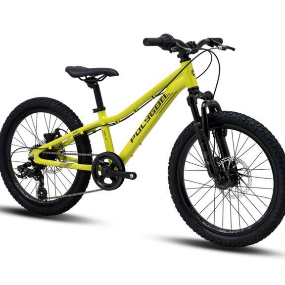 Polygon Relic [20 inch] Sepeda MTB Anak - Green