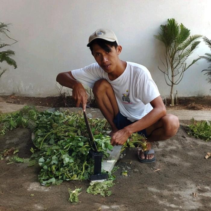 uikb Kacip Alat Pencacah Rumput Ododt Gajahan Damen Manual Pencacah Pakan Ternak