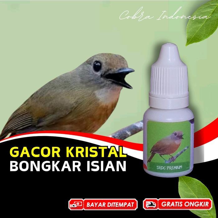 VITAMIN BURUNG SRDC BURUNG SIKATAN GACOR