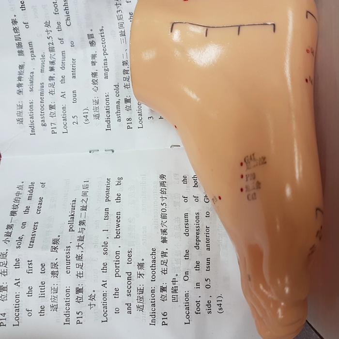 Terlaris Patung Akupuntur Model Kaki / Boneka Titik Titik Akupuntur