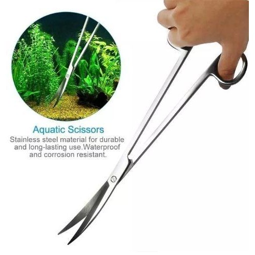 Gunting bengkok / lurus Aquascape 25cm Gunting panjang tanaman aquarium