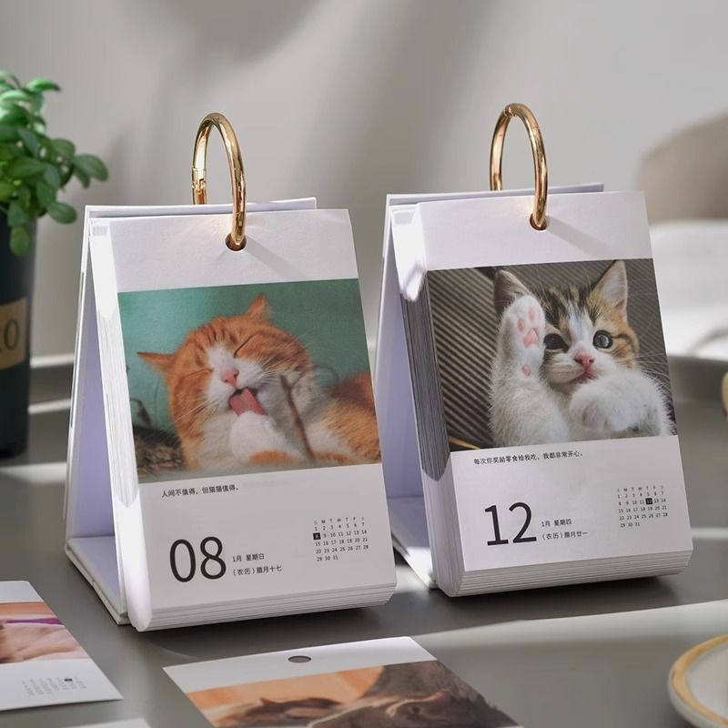 Cat calendar 2024 new desk calendar ins wind New Year 365 days countdown Dragon Year punch card sche