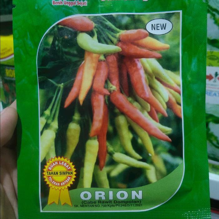 Tanamsegar- Benih Cabe Orion 10 Gram Cabai Rawit Putih Berdompol Berangkai You Seed Rawet Setan