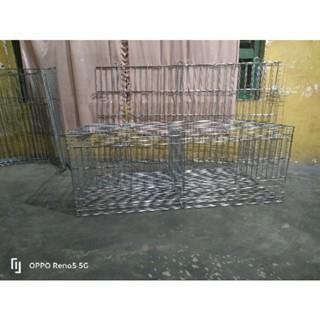 KANDANG BOX STARTER DOC ANAK AYAM