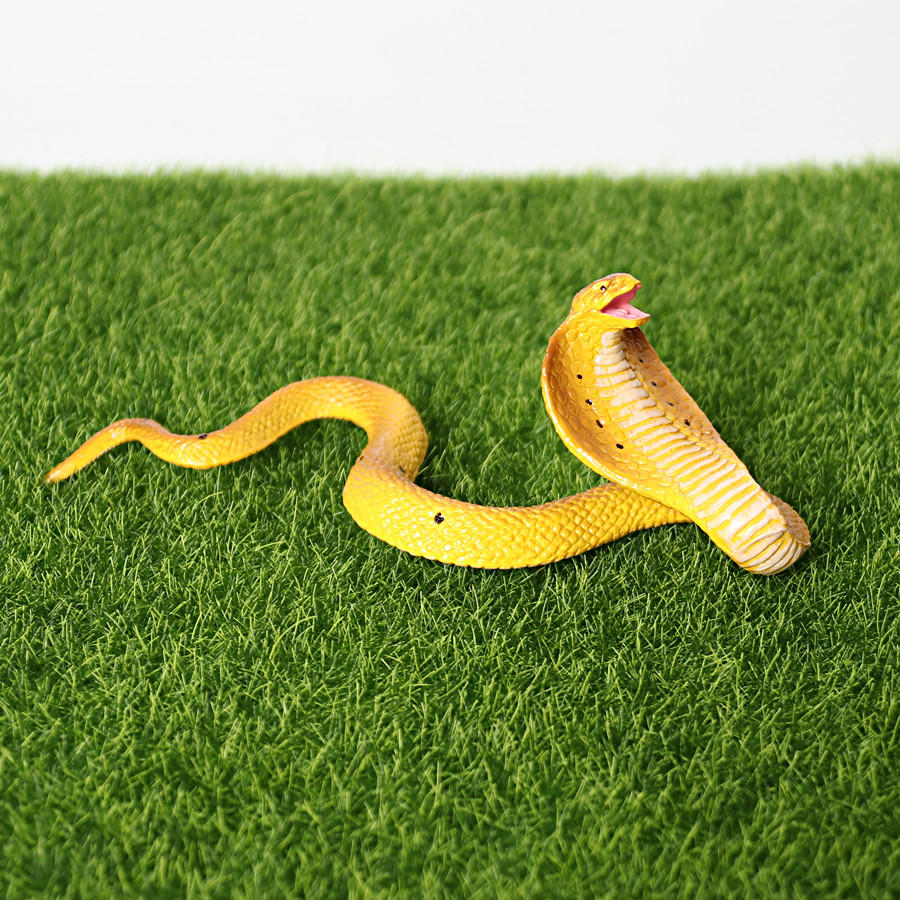 Realistic Wild Cobra Rattlesnake Python Cobra Snake Boa Constrictor Coralsnake Wild Life Animal