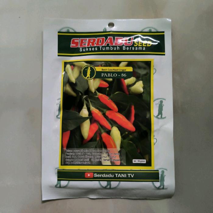 benih cabe rawit PABLO 86 10gr. sersadu seed