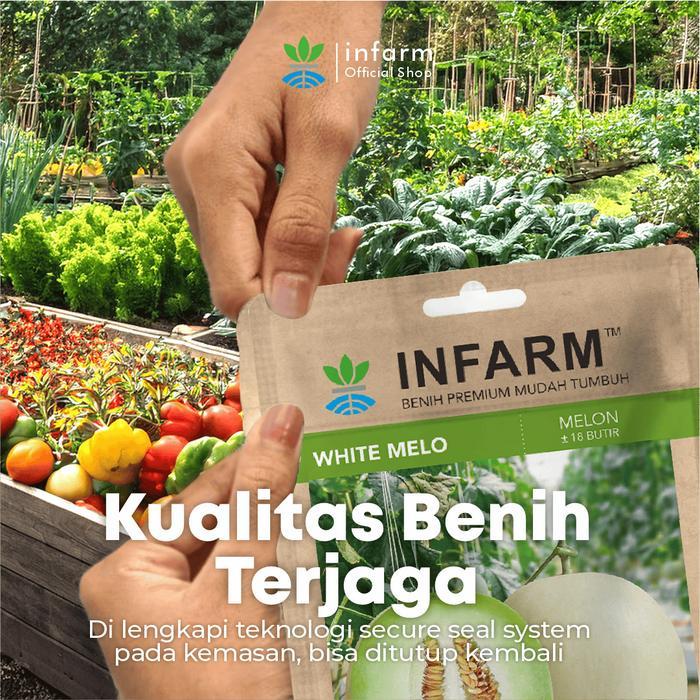INFARM - Benih Buah Melon Whitemelo, Benih Unggul Buah Melon Hibrida F1 Bibit Super Buah Melon Madu