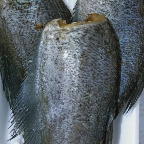 Ikan Asin Sepat Thailand Mantap 500 gram besar dan daging tebal Seafood