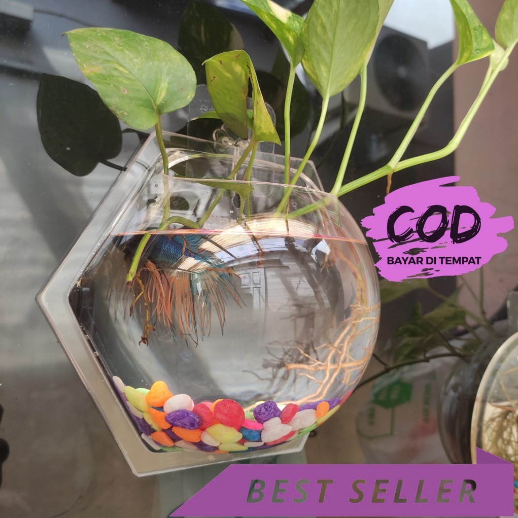 Hiasan Dinding Hexagonal Aquarium Tempel untuk Vas Bunga + Ikan diameter Besar 20cm