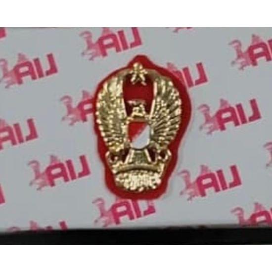 Pin Mut (Kejaksaan, asn/pns, TNI, Perhubungan, Satpol PP, dan semua instansi)