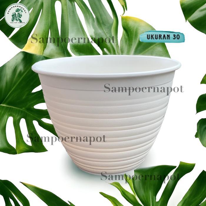 pot bunga tawon putih 30cm