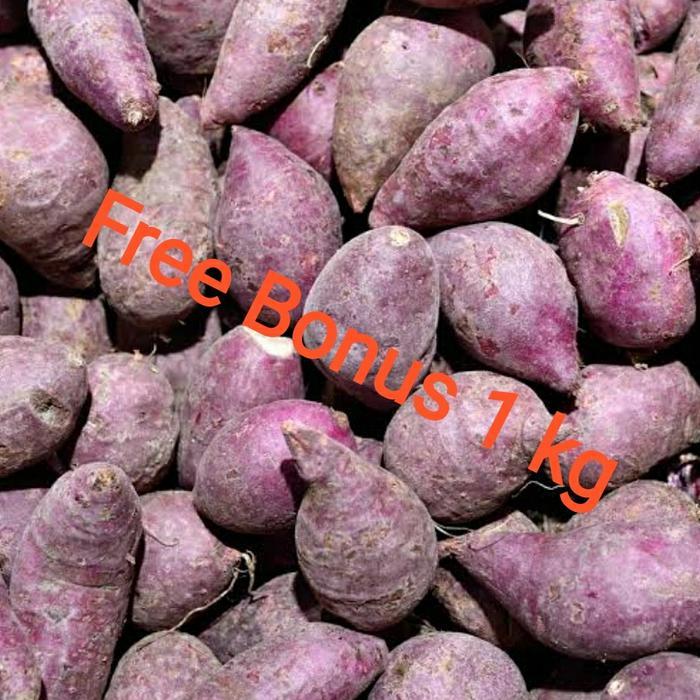 TERLARIS Ubi Ungu Talas Ubi Ungu 1 kg + Gratis Bonus