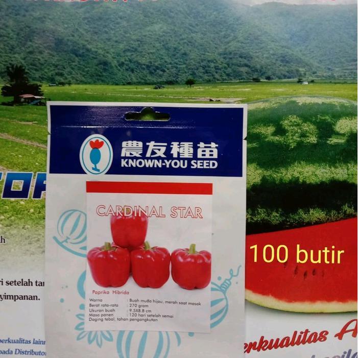 Tanamsegar- Benih Paprika Cardinal Star 100 Butir Original Known You Seed