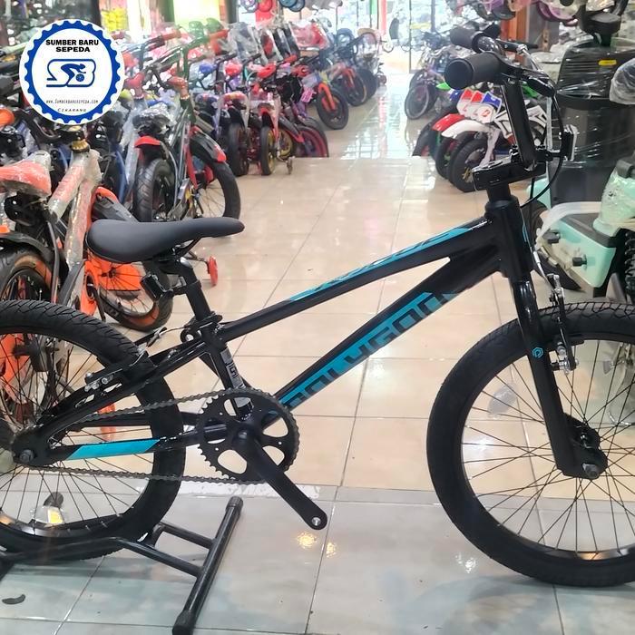 Sepeda Bmx Polygon Rogue 20 In Frame Alloy