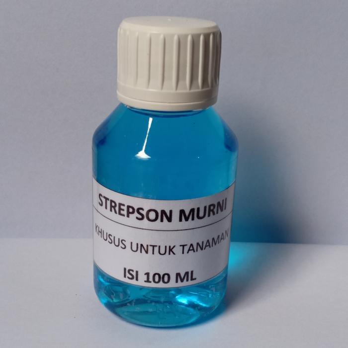 Hormon Tanaman Strepson Murni