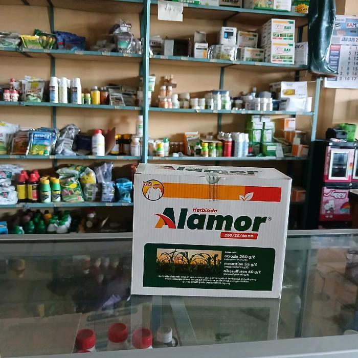 ALAMOR 500ML HERBISIDA SELEKTIF JAGUNG