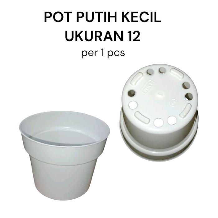 Pot Putih Uk 12 - Pot Tawon - Pot Kecil