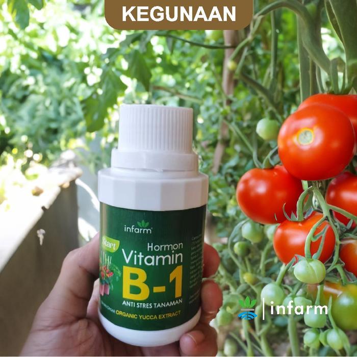 Infarm - Vitamin B1 Premium Nutrisi Tanaman Anti Stress Kualitas Impor Vitamin B1 Cegah Tanaman