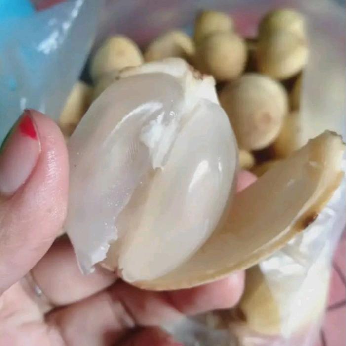 1kg dukuh Palembang manis segar