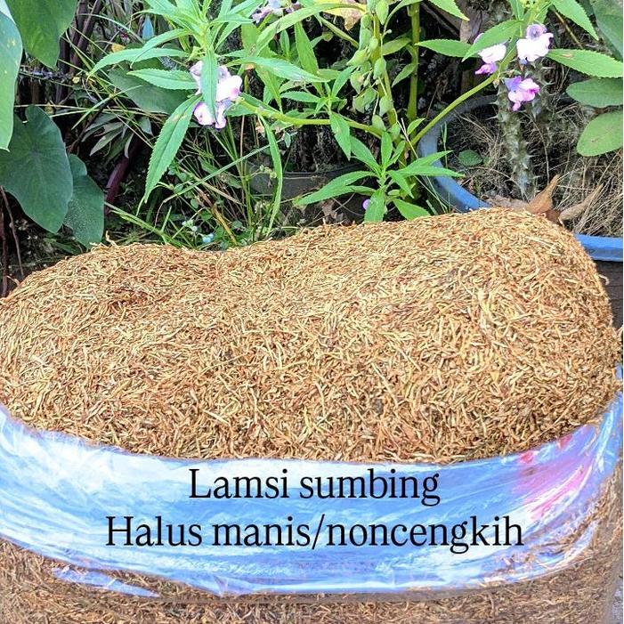 Lamsi Dan Paksi Dari Lereng Gunung Sumbing Dan Sindoro