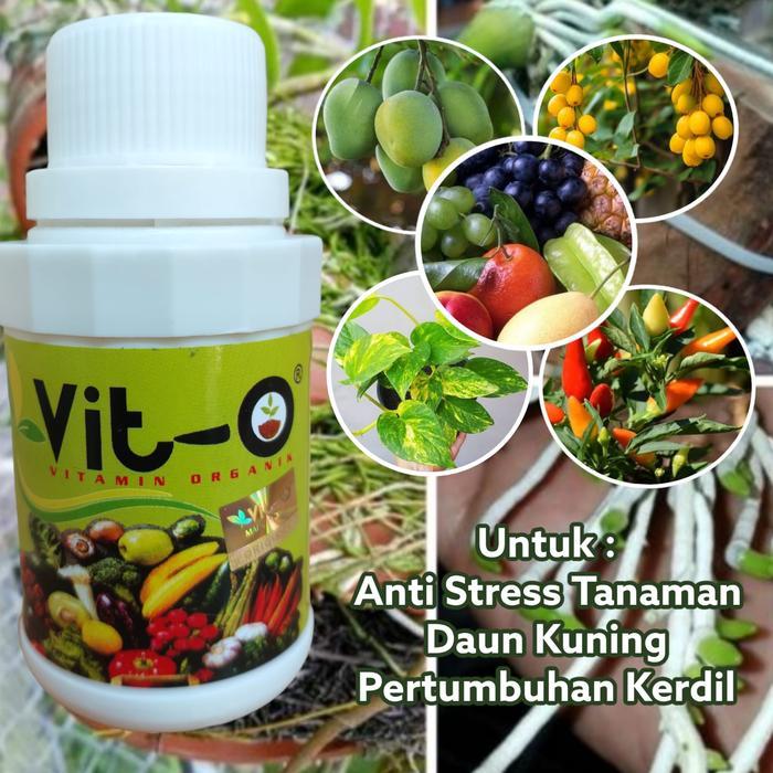 Pupuk Vit O Bahan Organik Plant Nutrition 150 Ml Untuk Semua Tanaman
