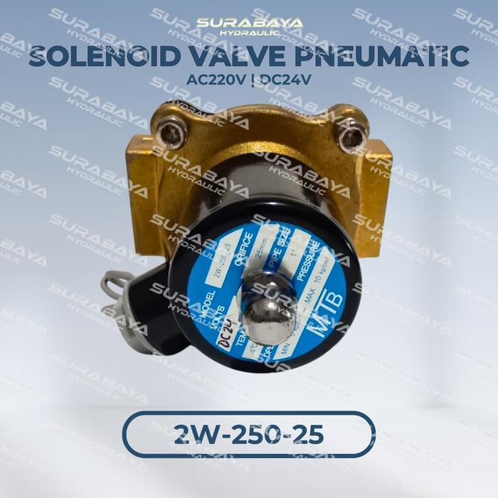 Denji Melody - 2W-250-25 Solenoid Valve 2W 250 25 Pneumatic Ac220V Dc24V Ac 220 Dc 24 2 W 250 25
