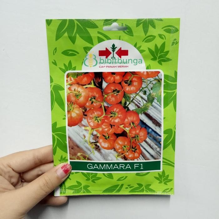 SIAPKIRIM Benih Bibit Tomat Gammara 150 Biji Keriting Mawar Sn Panah Merah READY STOCK