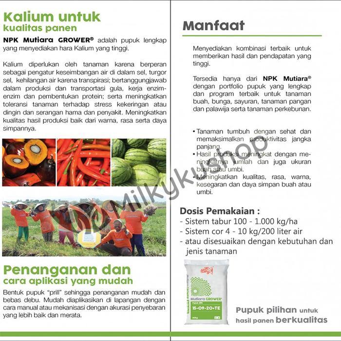 Pupuk Meroke Npk Mutiara Grower 50 Kg Kemasan Pabrik Via Cargo