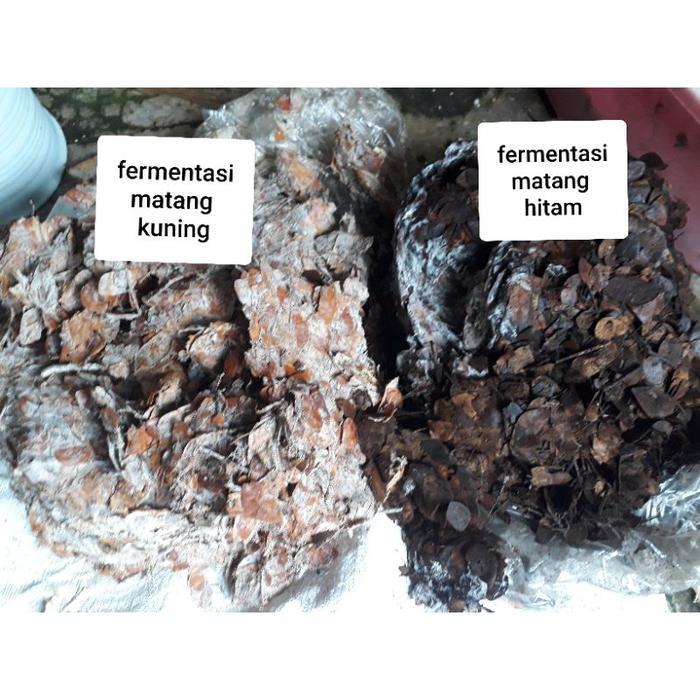 JUAL Media Tanam Kompos Premium Fermentasi Daun Trembesi Halus