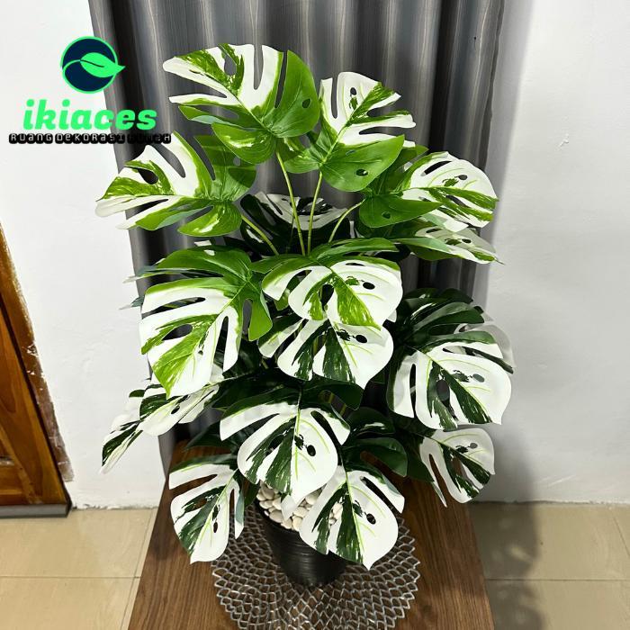 DAUN MONSTERA JUMBO VARIEGATA ARTIFICIAL 1 METER DAUN PLASTIK DEKORASI