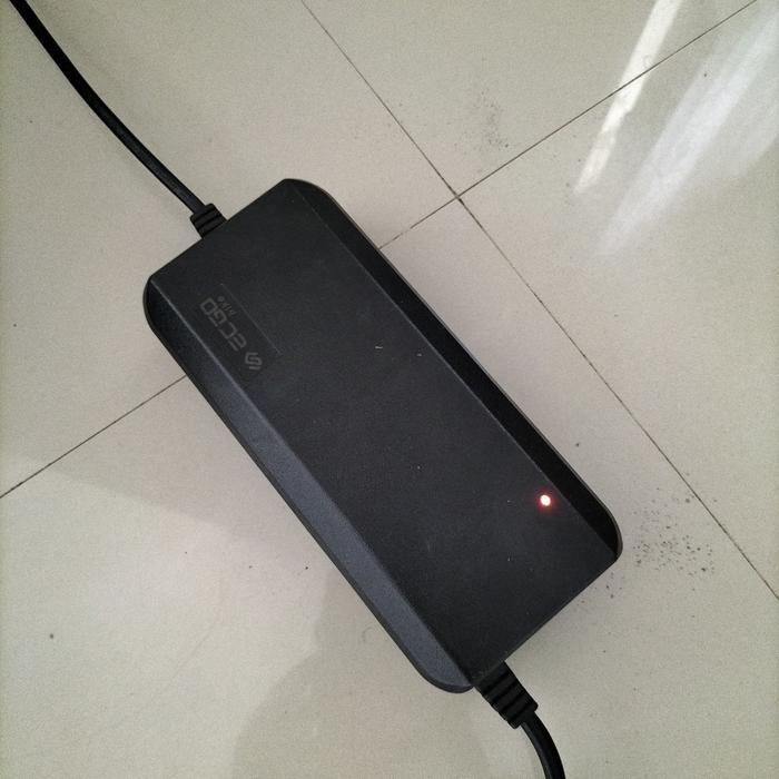 TERLARIS Charger Reguler Motor Listrik ECGO 3