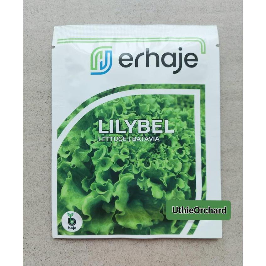 Benih Bejo Seed - Selada Batavia Lilybel Kemasan 1000 pills