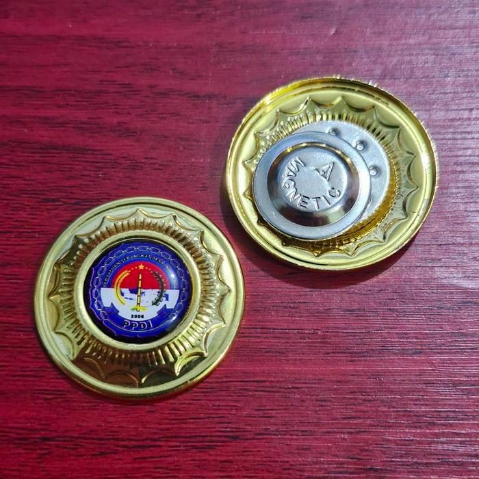 Pin Ppdi Magnet