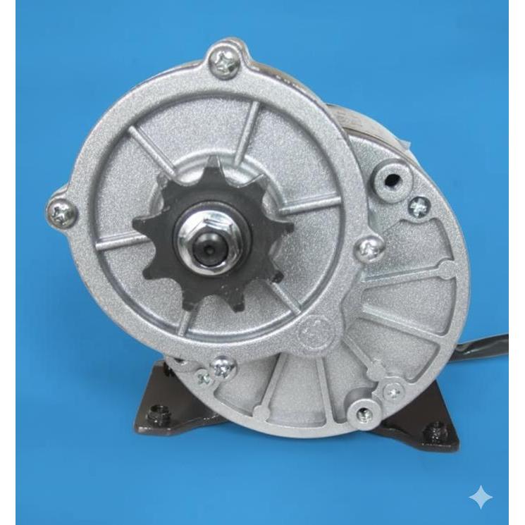 Dinamo Motor For Electric bike MY1016Z3 Brushed 350W 24V (7074)